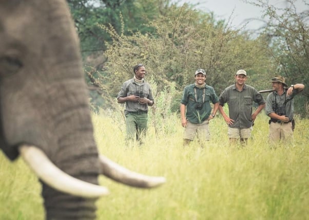 Walking Safaris in Botswana